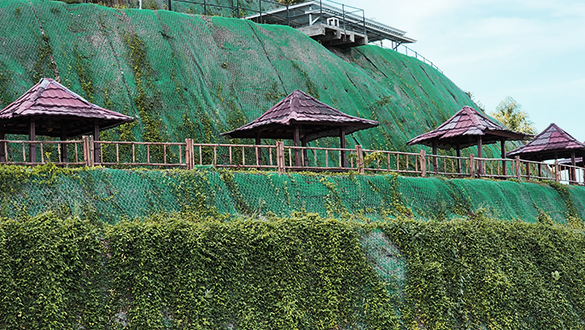 BEVA GREENMATT® Batang Asai